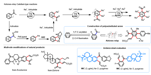 U020241029587600951287.png