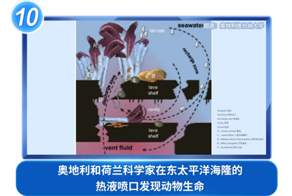 奥地利和荷兰凯发k8家在东太平洋海隆的热液喷口发现动物生命
